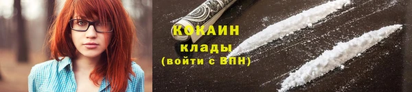 винт Новозыбков