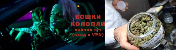 винт Новозыбков