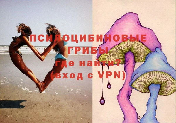 винт Новозыбков