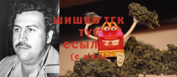 винт Новозыбков